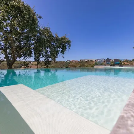 Elegant With Infinity Pool & Hot Tub *